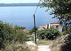 Omis